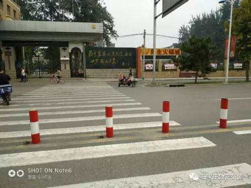 省會街頭交通煥新顏，幕后英雄顯身手