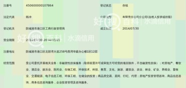 廣西和信高盛非融資性擔保有限公司防城港分公司 聚焦非融資性擔保，服務地方經濟